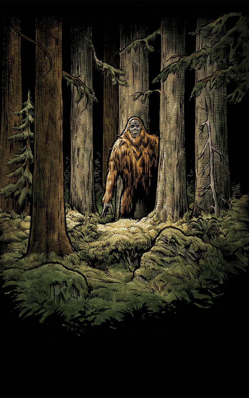Sasquatch